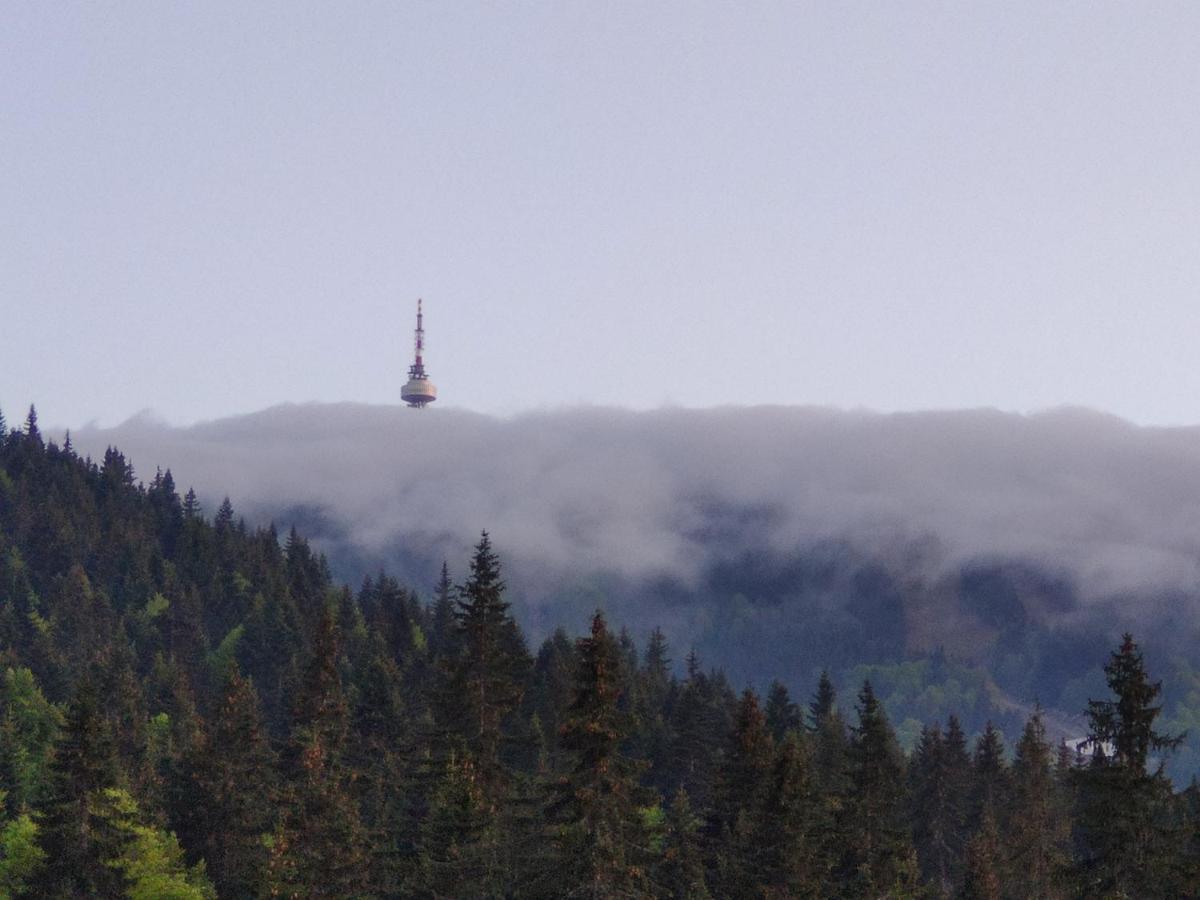 Forest Dream Apartment - Elit Pamporovo Kültér fotó