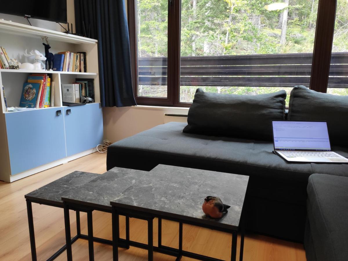 Forest Dream Apartment - Elit Pamporovo Kültér fotó