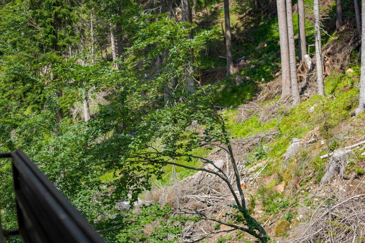 Forest Dream Apartment - Elit Pamporovo Kültér fotó